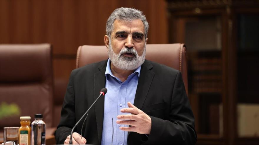 El subdirector de Asuntos Internacionales, Jurídicos y Parlamentarios de la Organización de Energía Atómica de Irán (OEAI), Behruz Kamalvandi.