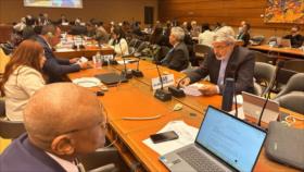 Irán aboga por reforzar la cooperación con el sur global