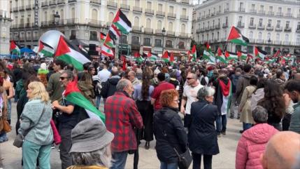 Manifestación “Muévete por Palestina” inunda las calles de Madrid
