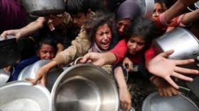 Alerta roja: Toda Gaza enfrenta altos niveles de inseguridad alimentaria