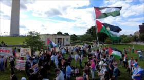 La Nakba no ha terminado: Memoria por Palestina desde Washington