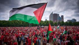 Más de 100 000 personas tiñen de rojo las calles de La Haya por Gaza