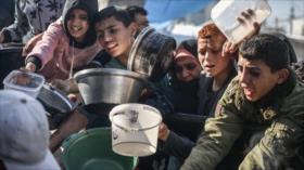 OMS: Ayuda humanitaria que llega a Gaza es solo una gota en el océano