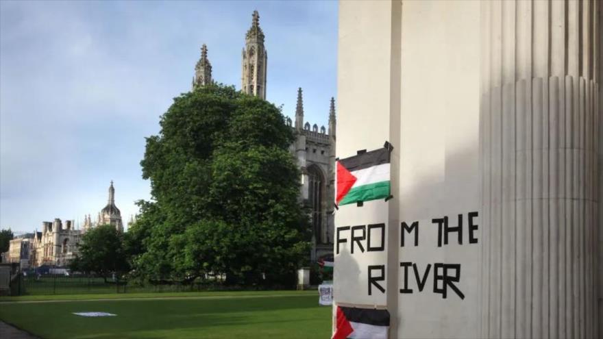 Banderas palestinas adornan la Casa del Senado, junto a la capilla del Kings College, el 17 de mayo de 2024 en Cambridge, Reino Unido. (Foto: Getty Images)