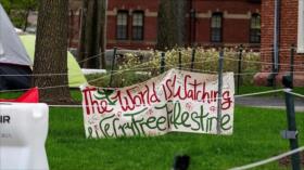 Sigue cacería contra Harvard: Trump le prohíbe matricular extranjeros