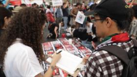 Mexicanos llegan a La Haya para respaldar demanda de Sudáfrica contra Israel