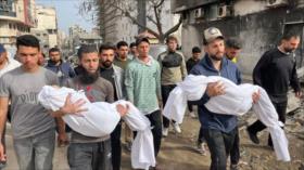 Relatora del Consejo de Europa: Israel comete limpieza étnica en Gaza
