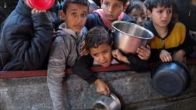 Ingeniería de hambruna: Gaza denuncia bloqueo israelí a alimentos