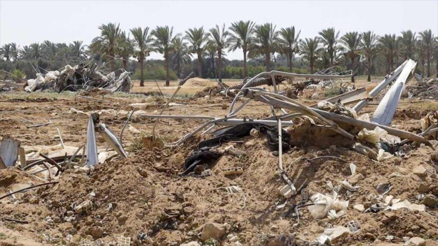 Las tierras de cultivo en la Franja de Gaza están siendo destruidas por la agresión israelí. (Foto: FAO)