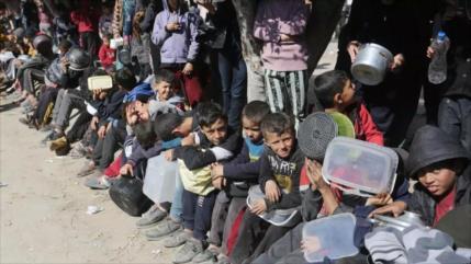 ¿Está HAMAS robando ayuda humanitaria en Gaza? Aclara la jefa del PMA