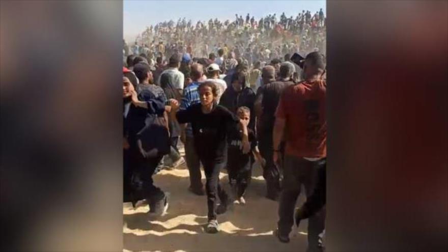 ‘Masacre deliberada’: Israel mata a 3 gazatíes que buscaban comida