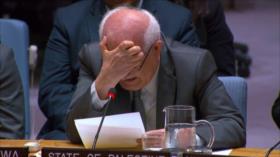 Enviado palestino rompe a llorar ante ONU por infanticidio israelí en Gaza