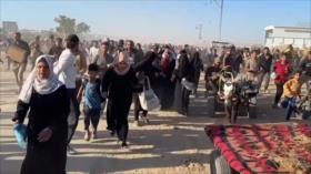 Genocidio en Gaza provoca reacciones y solidaridad en todo el mundo