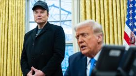 Éxtasis y hongos: Elon Musk consumía drogas en la campaña de Trump
