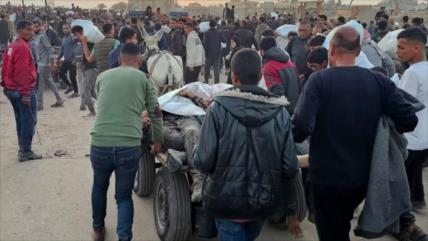 ONU exige una pesquisa tras matanza de 75 palestinos hambrientos en Gaza