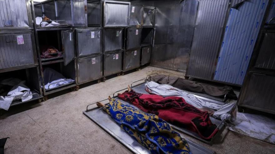 Cadáveres de palestinos muertos por ataques de Israel, contra tiendas para desplazados en Jan Yunis, sur de Gaza, 4 de junio de 2025. (Foto: Reuters)