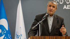 Jefe nuclear promete impulsar con firmeza programa nuclear de Irán