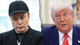 Tesla cae un 14 % en la bolsa tras la bronca entre Musk y Trump