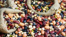 Una taza de frijoles al día produce efectos milagrosos en la salud