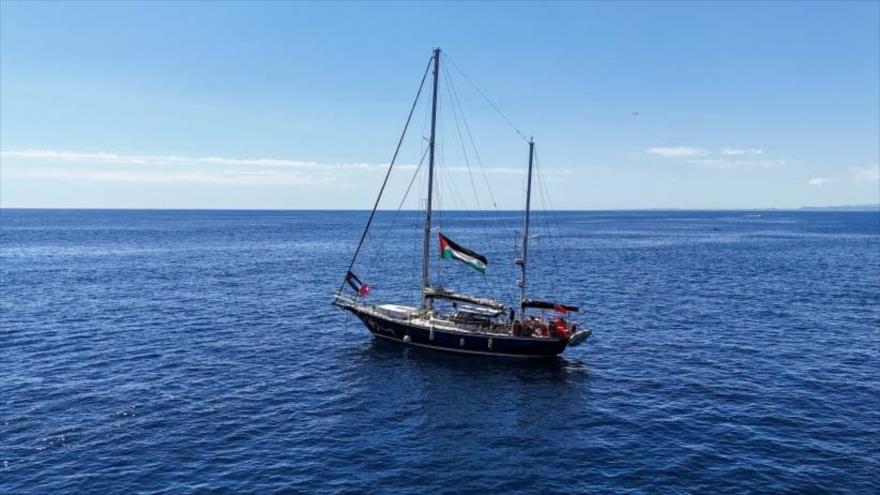 La flotilla de libertad
