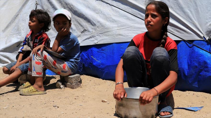 Niños palestinos desplazados aguardan alimentos en una cocina benéfica en Gaza, 3 de junio de 2025. (Foto: Reuters)