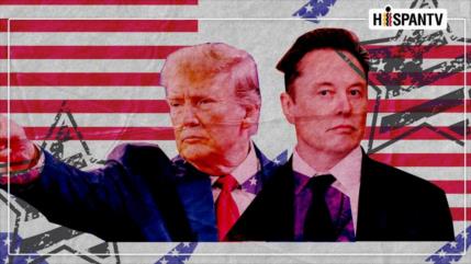 De la amistad a la ruptura: La enemistad Trump-Musk y las secuelas de la codicia capitalista