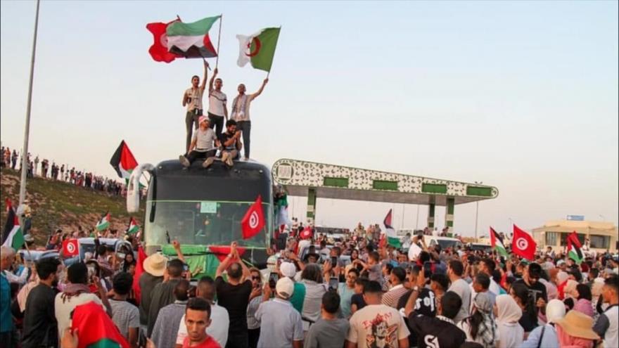 El convoy que se dirige a Gaza desde Túnez. Foto tomada el 9 de junio de 2025. (Redes sociales)