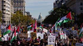Encuesta: Récord de votantes demócratas en EEUU simpatiza más con palestinos