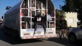 Confirman excesos contra haitianos deportados desde República Dominicana