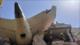 Accidente de avión en India deja más de 200 muertos cerca de Ahmedabad