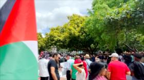 Desde República Dominicana respaldan movilización global por Gaza