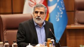 OEAI: Industria nuclear tiene raíces profundas en Irán y no desaparecerá