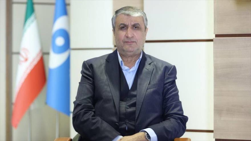 El jefe de la Organización de Energía Atómica de Irán (OEAI), Mohamad Eslami.
