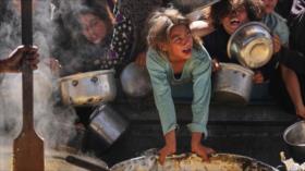 170 ONG piden fin del “letal” plan israelí de entrega de ayuda en Gaza