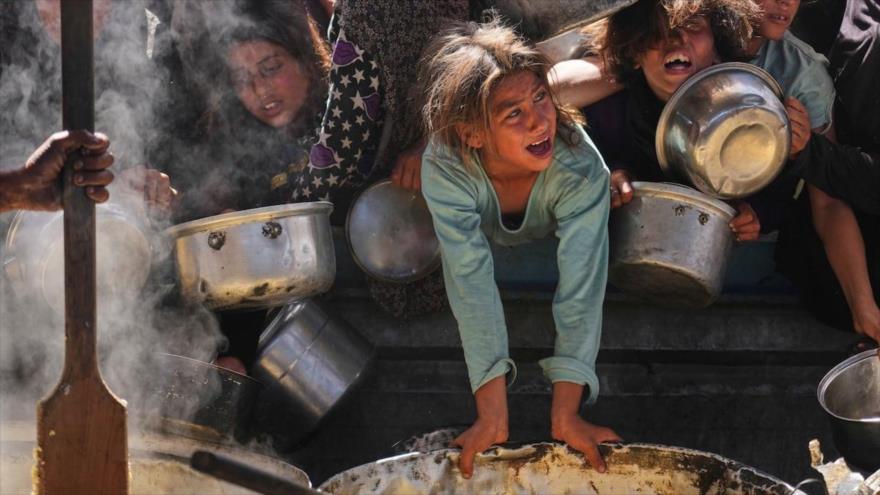 170 ONG piden fin del “letal” plan israelí de entrega de ayuda en Gaza | HISPANTV