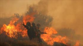 Incendio forestal en Creta provoca evacuación de miles de personas 