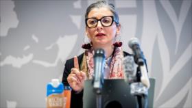 Relatora de ONU exige embargo total de armas y comercio contra Israel