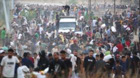 UNRWA: La gente en Gaza se desmaya en calles por el hambre extrema