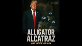 Cocodrilo alcatraz: la humillante forma de tratar a los migrantes y las protestas contra Trump | Grin Go!