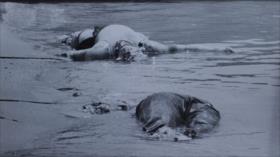 Airbus 655 | Fotos que sacuden al mundo