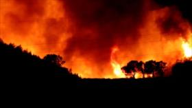 Incendios forestales arrasan mientras Europa se hornea bajo ola de calor