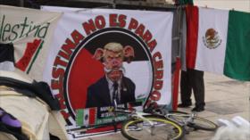 Sectores mexicanos exigen el fin de todo lazo con el régimen israelí