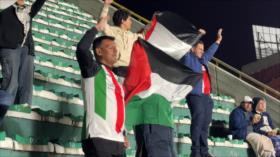 Palestino en la Sudamericana: fútbol como voz de resistencia y dignidad