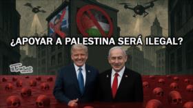 Quieren criminalizar el apoyo a Palestina | El Frasco, medios sin cura