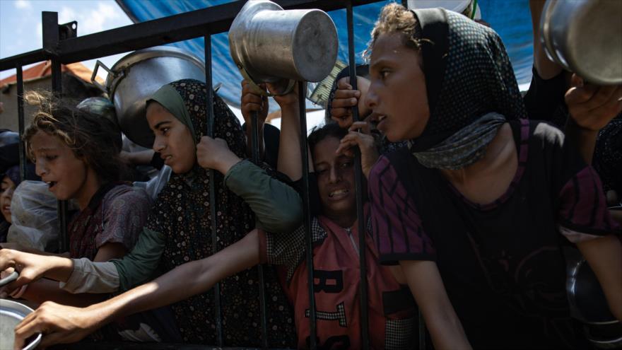 Varias mujeres y niñas hacen fila para recibir comida en Gaza. (Foto: EFE)