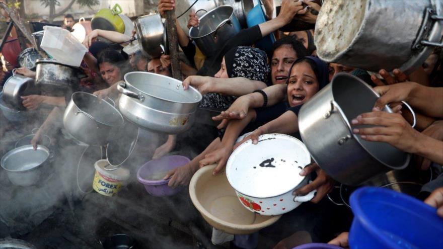 Más de 100 ONG alertan sobre la “hambruna masiva” en Gaza | HISPANTV