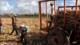 Trabajos forzados en plantaciones cañeras de República Dominicana