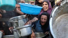 Clérigo iraní insta a musulmanes a presionar a Israel por asedio a Gaza