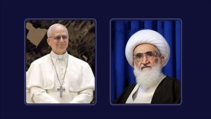 Clérigo iraní insta al Papa a presionar para detener genocidio en Gaza