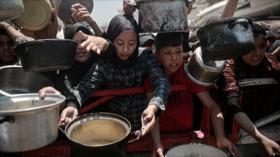 Palestina: fracaso internacional contra hambruna es “injustificable”